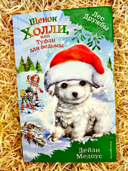 Щенок Холли, или Туфли для ведьмы. Лес Дружбы