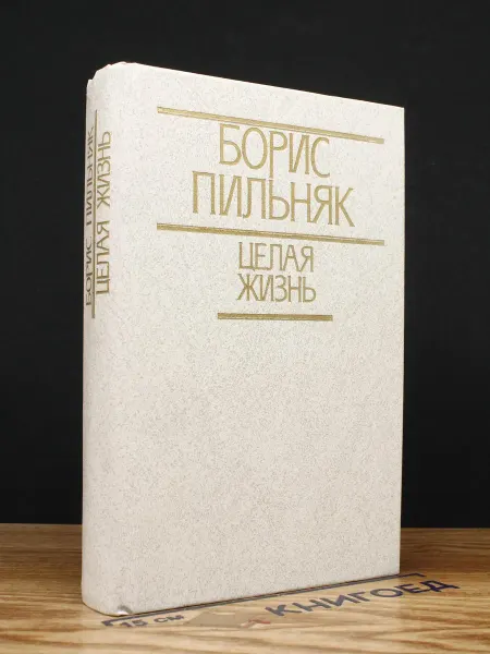 Мастацкая литература Б. Пильняк. Целая жизнь