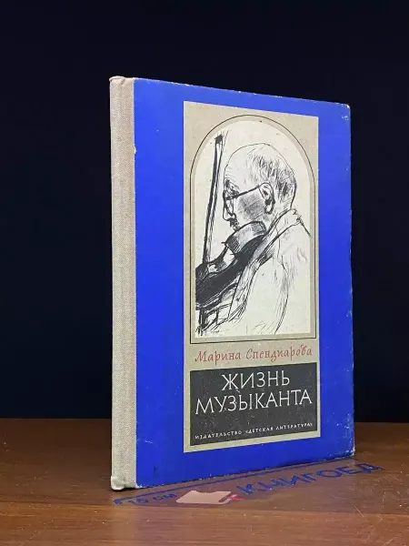 Детская литература Жизнь музыканта