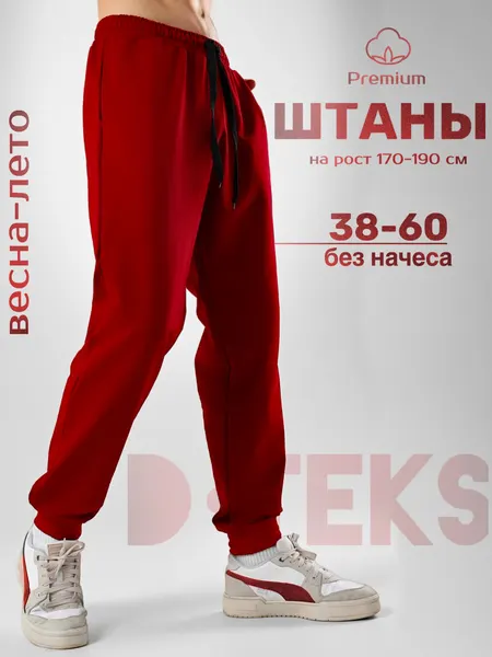 DTeksБрюки спортивные