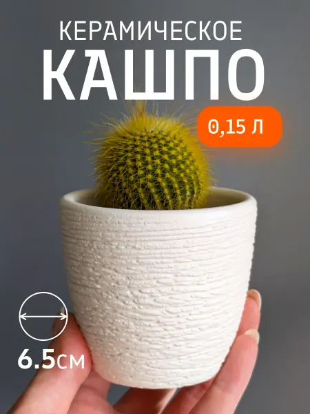 Шедевры Сада Кашпо керамическое Гнездо мини