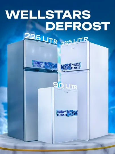 Холодильник WellStars DeFrost, 90, 225 л