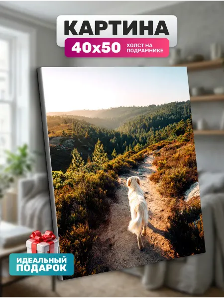 Diamond pixel Картина на стену Пес в горах 40х50 см