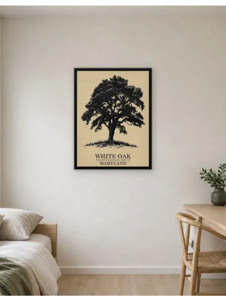 Postersbase Арт-постер Дерево штата Мэриленд Белый дуб 50x70