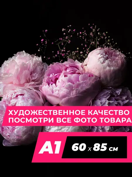 Пионы Art Постер пионы на стену 74 Paeonia A1