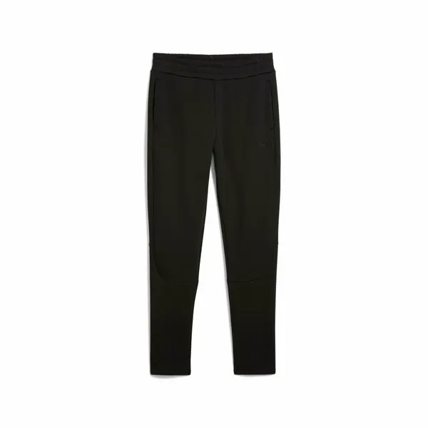 PUMAБрюки спортивные EVOSTRIPE Core Pants
