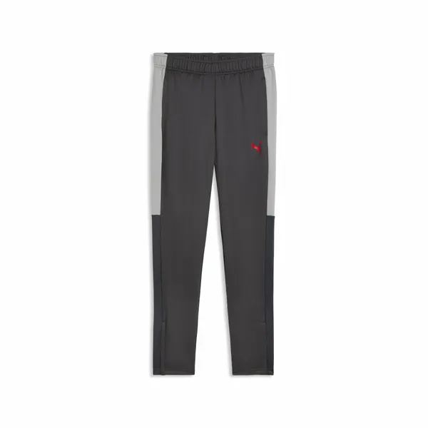 PUMAБрюки спортивные IndividualLIGA Training Pants