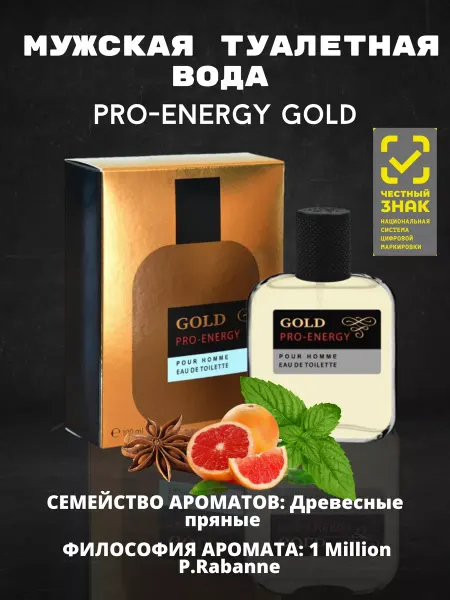 Дельта Парфюм Туалетная вода Pro Energy Gold 100ml for men