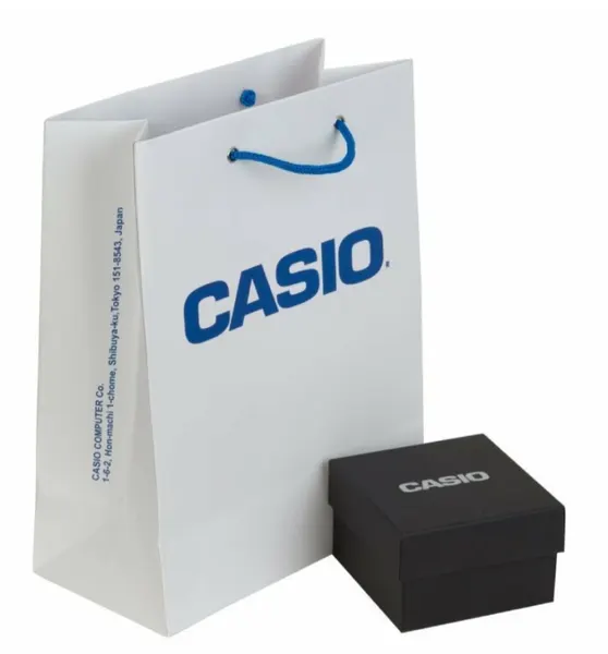CASIOНаручные часы