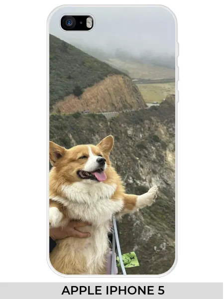 NOOTO Чехол на Apple iPhone 5 мем