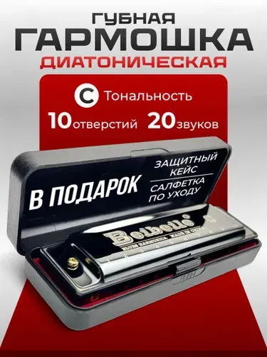 Губная гармошка диатоническая BEIBEILE,тональность С,блюзовая,10 отверстий,чёрная