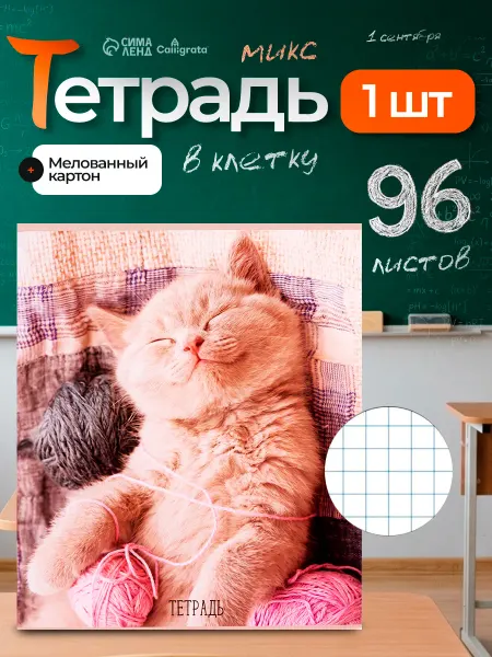 Calligrata Тетрадь 96 листов в клетку, МИКС