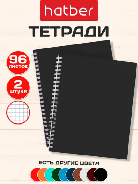 Hatber Тетрадь 96 листов в клетку 2 штуки А5 на пружине