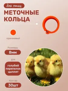 Меточные кольца для цыплят, перепелок, голубей 8мм, 30шт, фиолетовый
