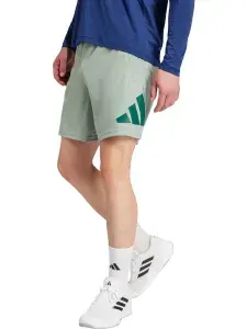 Шорты прямые adidas Train Essentials Logo Training Shorts