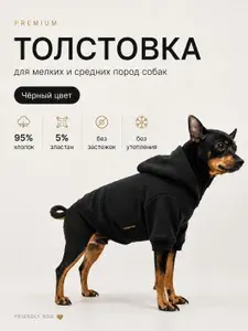 Friendly DOG Толстовка для собак и кошек