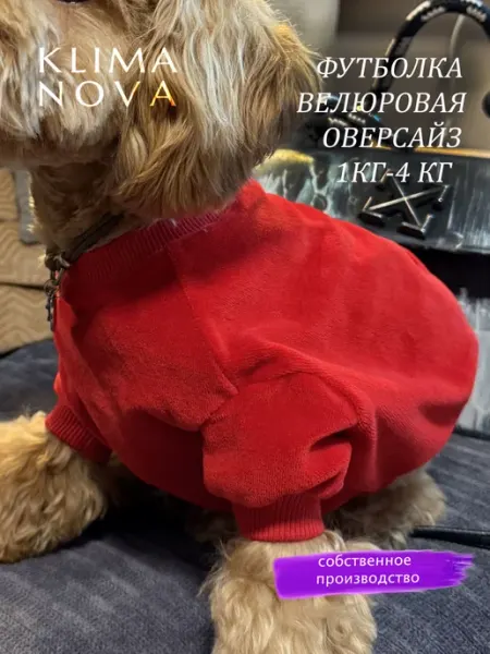 KLIMA NOVA Одежда для собак мелких пород Футболка оверсайз велюр
