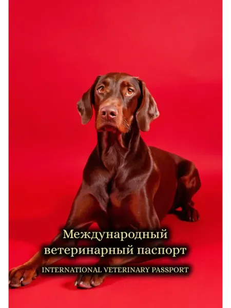 Ветеринарный паспорт с аудио-записью доберман