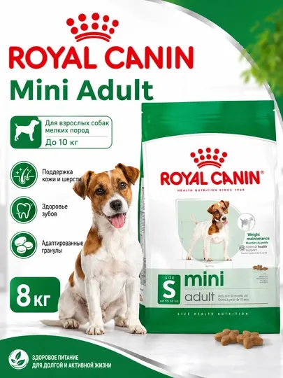 Корм сухой для собак Royal Canin Mini Adult, 8 кг, для взрослых собак мелких пород