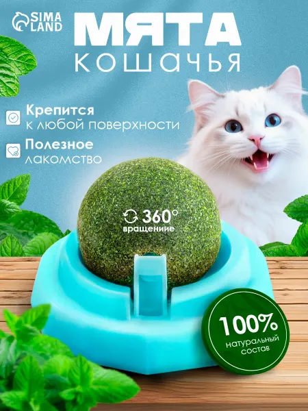 Пижон Кошачья мята