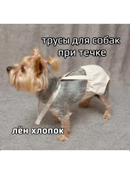 LI.SA.MI Многоразовые трусы для собак