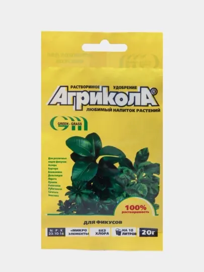 Цветы фикуса Agricola для декоративных цветов с крупными листьями