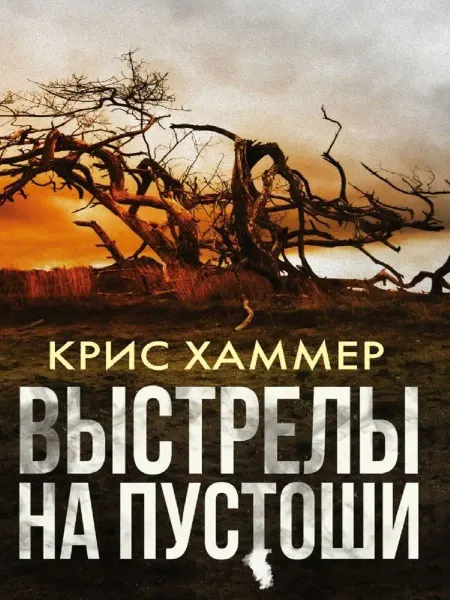 Издательство АСТ Выстрелы на пустоши