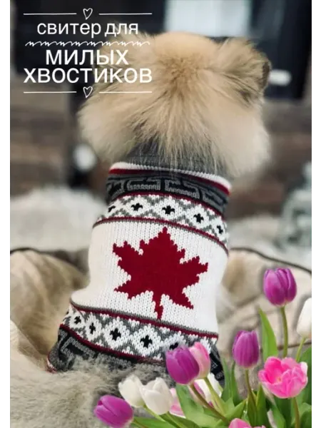 UKI AIKO Одежда для собаки кота Свитер мелкие