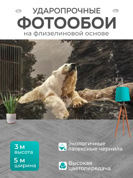 LotsPrints Фотообои "Животное, нести, шерсть" 5x3м