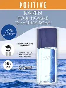 ALAIN AREGON Туалетная вода мужская KAIZEN POUR HOMME, фужерный аромат 95 мл