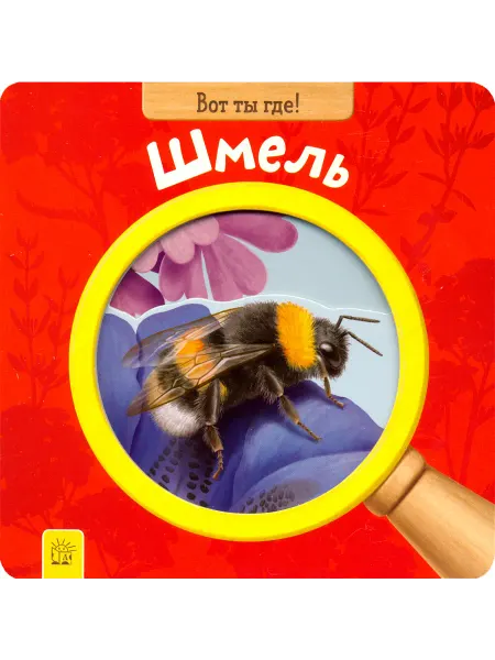 Книга Лабиринт Вот ты где! Шмель