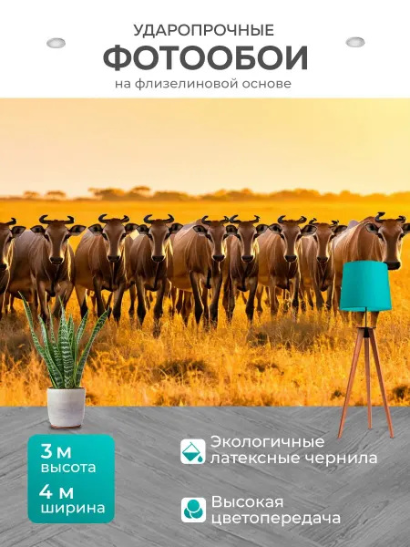 LotsPrints Фотообои "Животные, стадо диких животных на." 4x3м