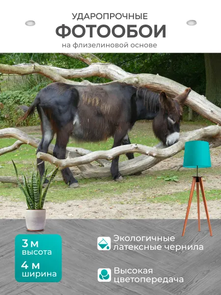 LotsPrints Фотообои "Животное, зоопарк, тиргартен" 4x3м