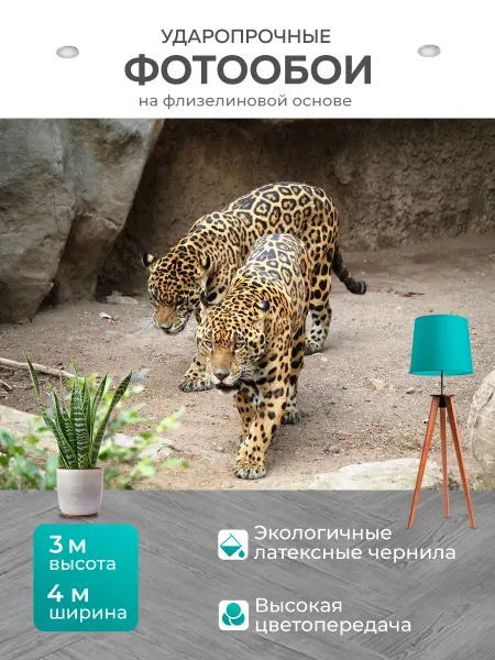 LotsPrints Фотообои "Ягуары, кошачьи, животные" 4x3м
