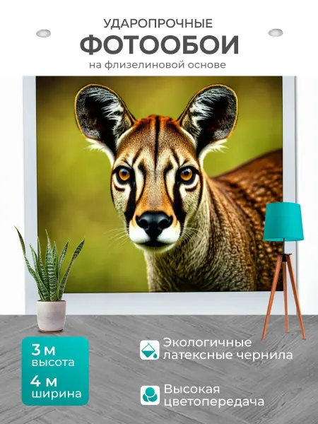 LotsPrints Фотообои "Животные в стиле полароидная фотография." 4x3м