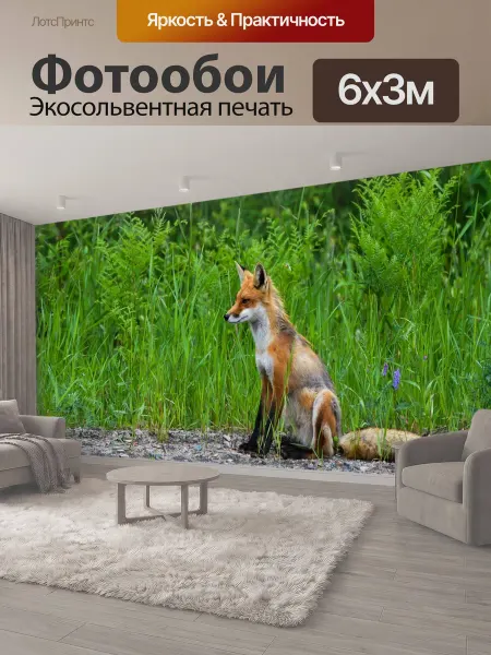 LotsPrints Фотообои "Лиса, red fox, дикий" 6x3м