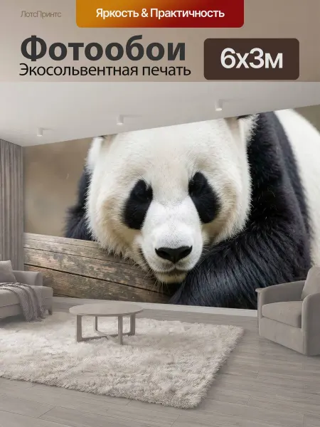 LotsPrints Фотообои "Большая панда на бревне. Черно-белый." 6x3м