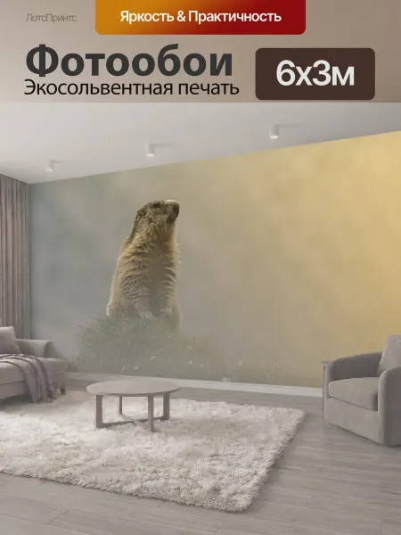LotsPrints Фотообои "Сурок, животное, природа" 6x3м