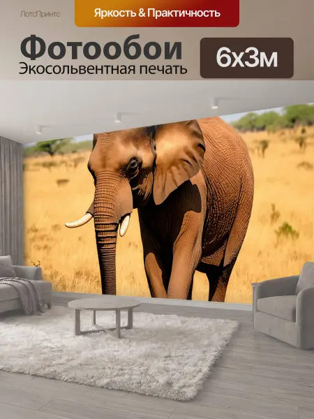 LotsPrints Фотообои "Коричневый слон, прогуливающийся по саванне" 6x3м