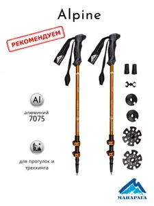 Палки треккинговые Манарага Alpine