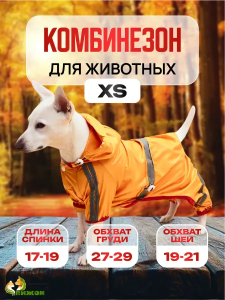 Пижон Комбинезон спортивный для собак мелких пород