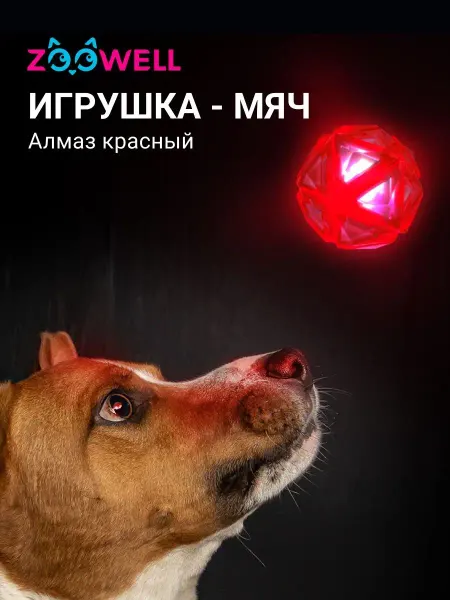 Zoowell Игрушка-мяч для собак светящийся с пищалкой