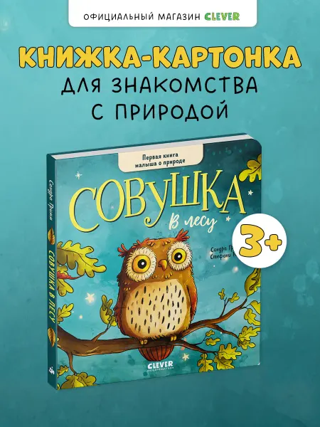 Издательство CLEVER Совушка в лесу. Первая книга малыша о природе
