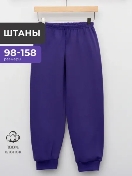 AMOTEKS Штаны спортивные детские утепленные