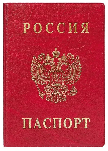 DpskancОбложка для паспорта