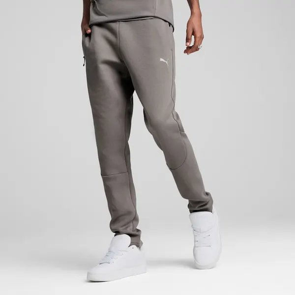 PUMAБрюки спортивные EVOSTRIPE