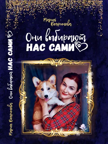 "Они выбирают нас сами."Корги