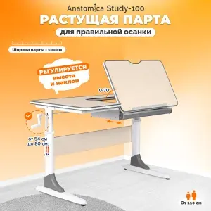 Anatomica растущая парта Study-100, клен/серый
