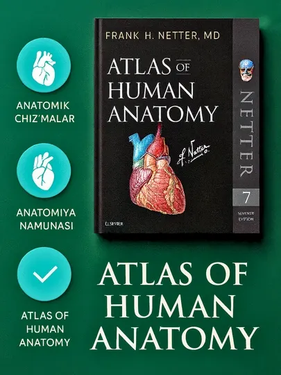 Книга медицины, Атлас анатомии человека, ATLAS OF HUMAN ANATOMY, Франк Неттер