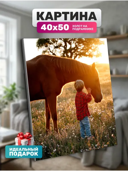 Diamond pixel Картина на холсте Мальчик с конем 40х50